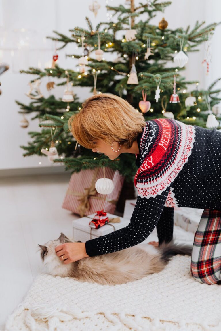cat lover gift guide