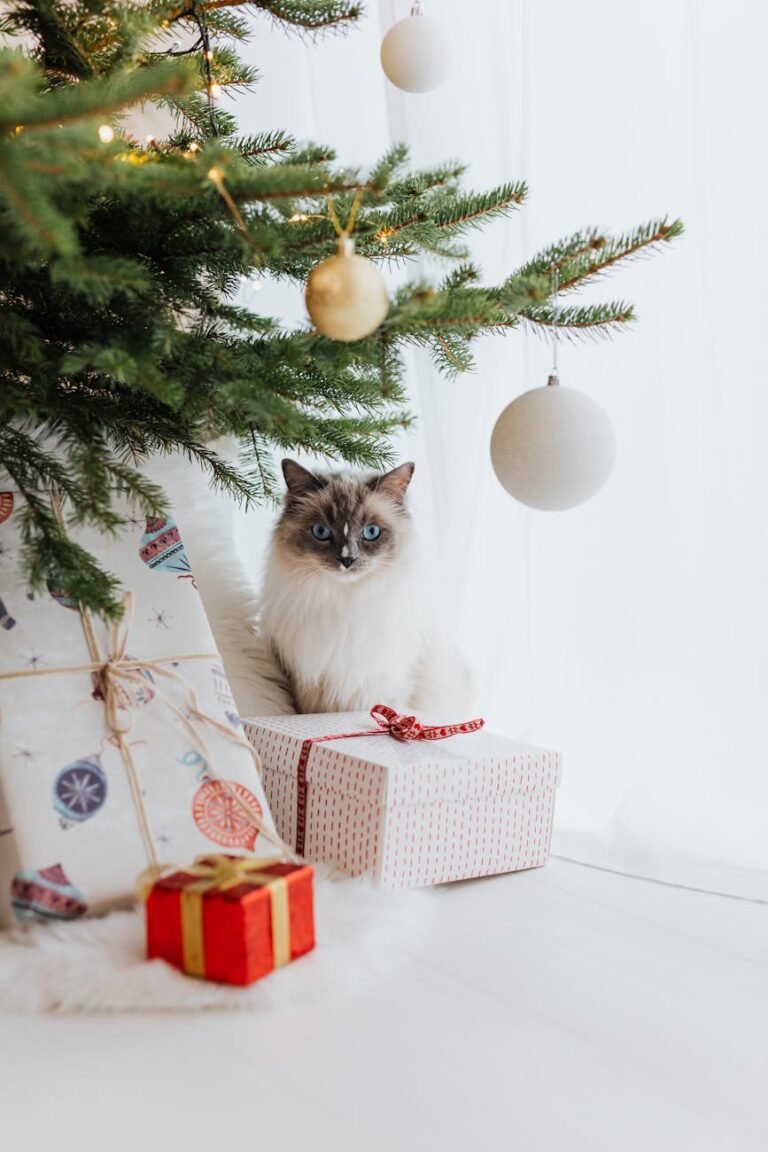 gifts for cat moms